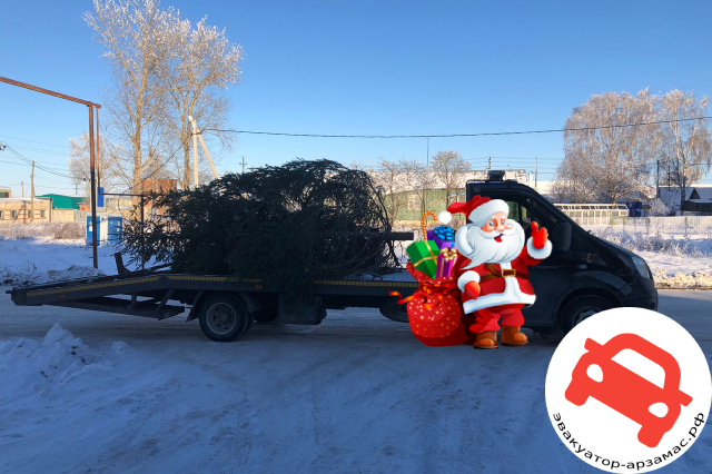Перевозка новогодней елки из Лесогорска в Арзамасе